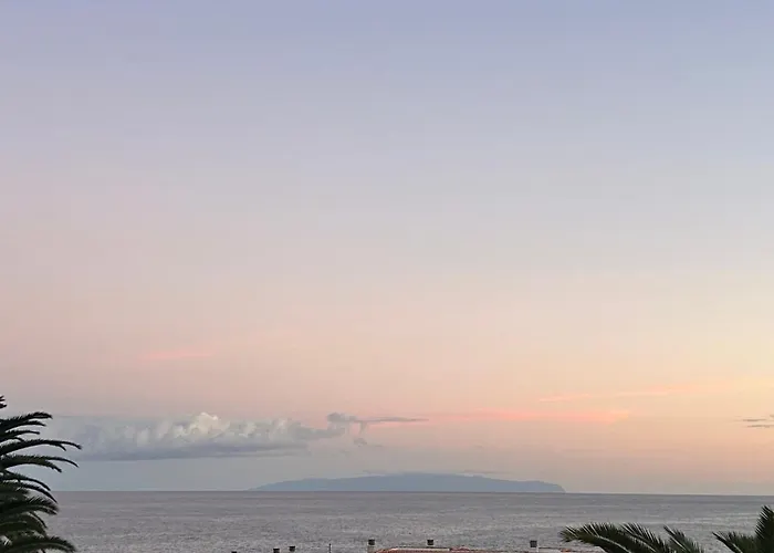 Salitre Tea Breña Baja